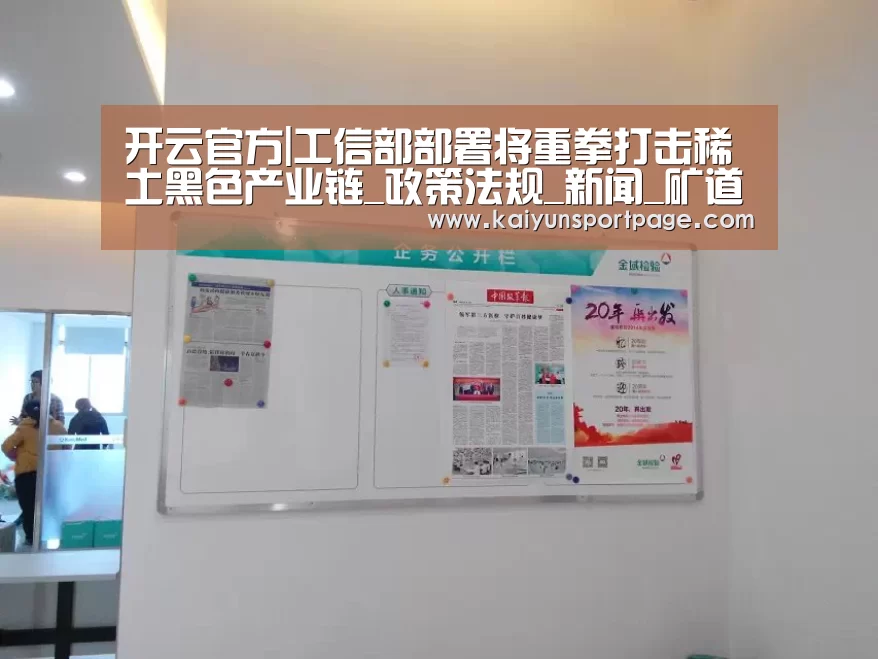 开云体验