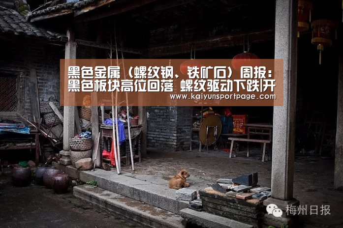 黑色金属(螺纹钢、铁矿石)周报:黑色板块高位回落 螺纹驱动下跌|开云导航(图1) 开云官方
