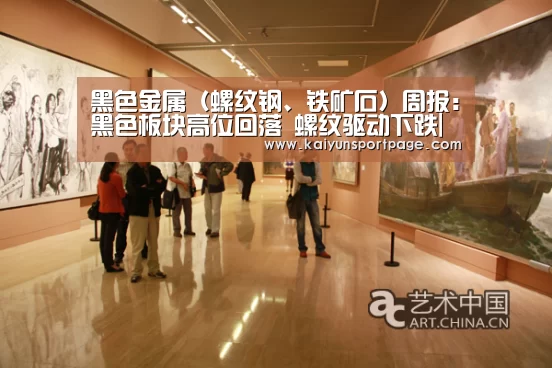 黑色金属(螺纹钢、铁矿石)周报:黑色板块高位回落 螺纹驱动下跌|开云导航(图2) 开云官网