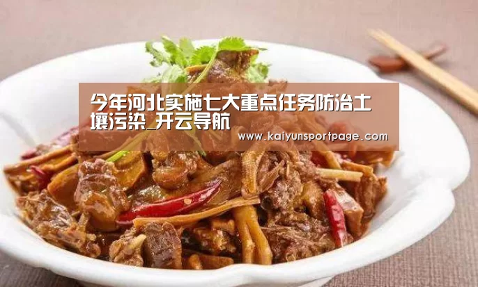 今年河北实施七大重点任务防治土壤污染_开云导航(图2) 开云官方