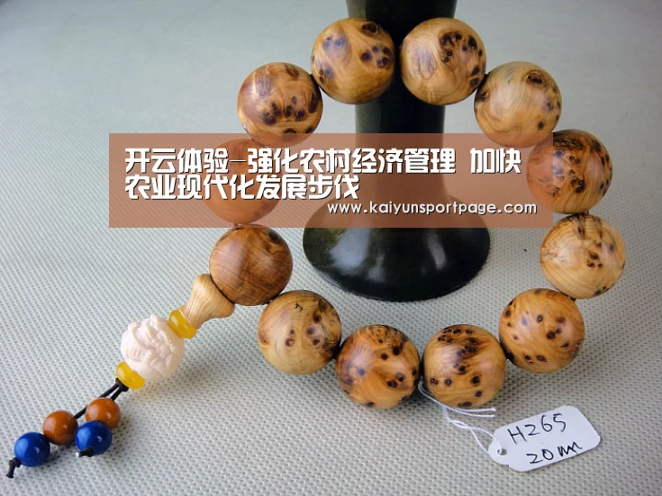 开云体验-强化农村经济管理 加快农业现代化发展步伐(图1) 开云官方