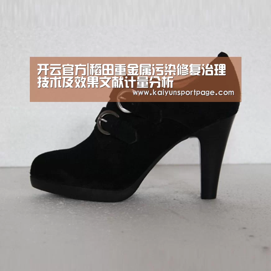 开云体验
