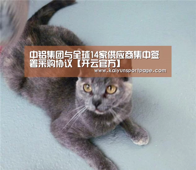 中铝集团与全球14家供应商集中签署采购协议【开云官方】(图4) 开云导航