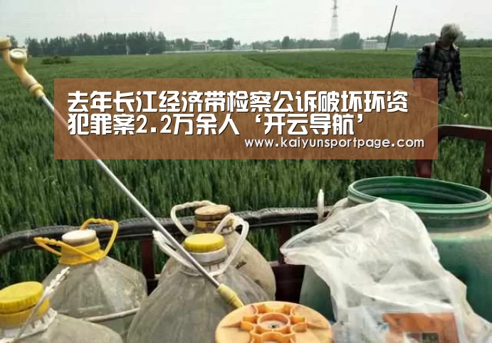 开云官网