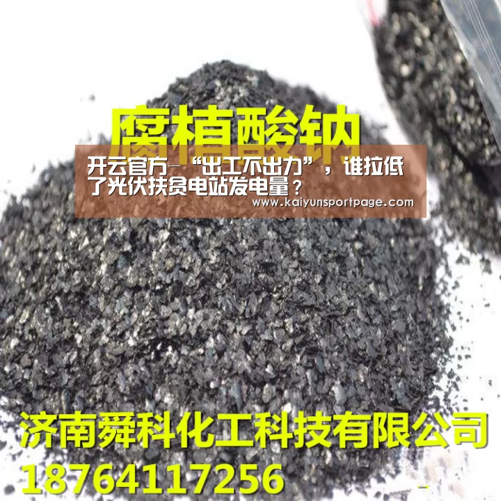 开云导航