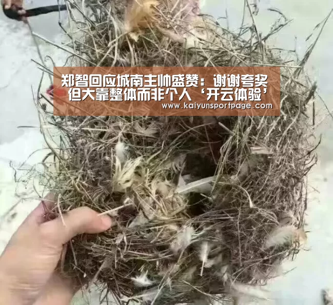 郑智回应城南主帅盛赞：谢谢夸奖 但大靠整体而非个人‘开云体验